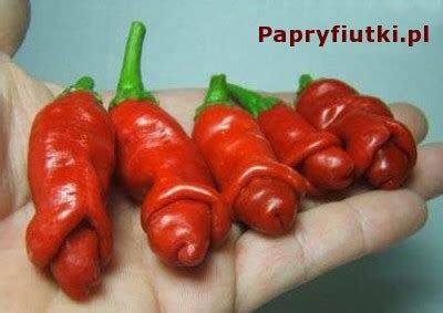 Papryfiutki