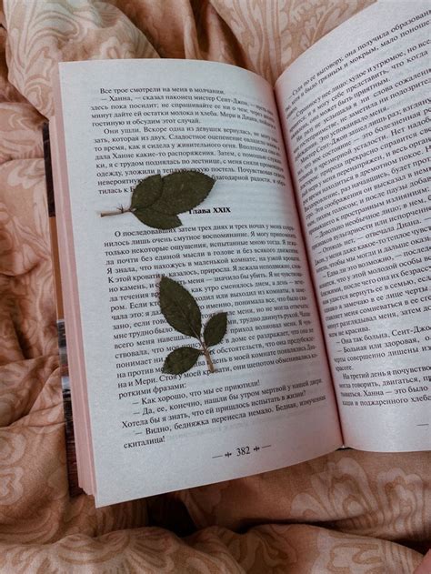 Гербарий, засушенные листочки в книге, Джейн Эйр
