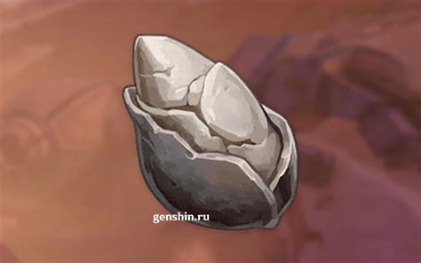 Личинка песчаного жировика в Genshin Impact | Карта фарма