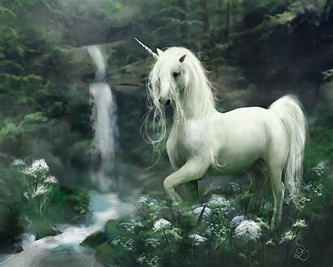 Chicken Scratch: UNICORN DROPPINGS - A Short Story
