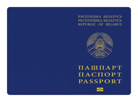 Стало известно, как будут выглядеть биометрические документы и во ...