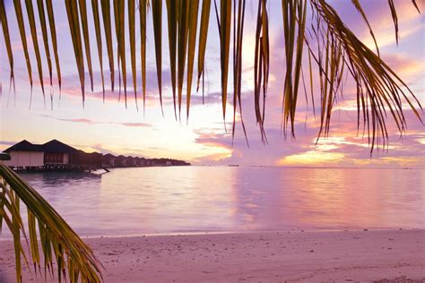 Tropical beach sunset 11929698 Stock Photo at Vecteezy