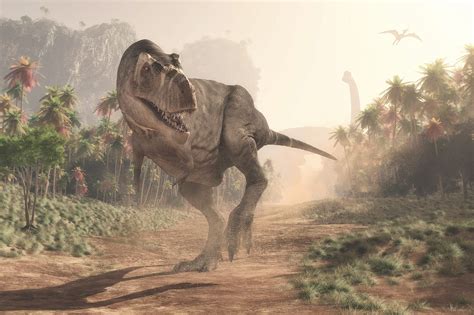 Carnivori Feroci Dinosauri Da Paura Ediz A Colori 1
