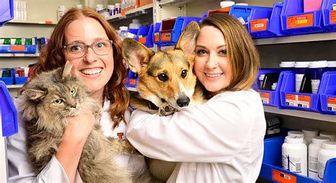 Pawsitively Collaborative: A new partnership in Veterinary Pharmacy | College of Pharmacy ...