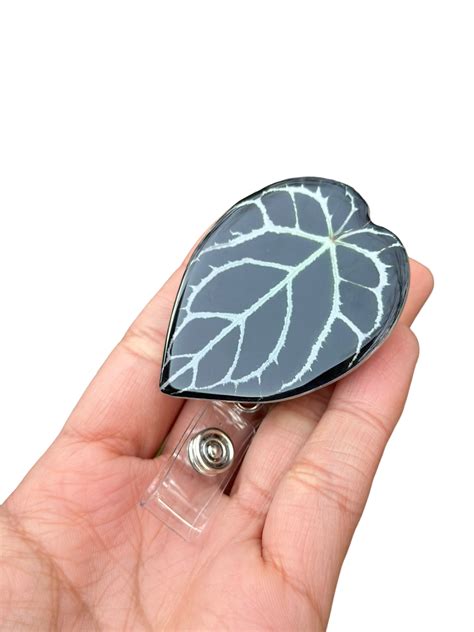 Unique Leaf ID Bage Holder – The Plant Ecologist