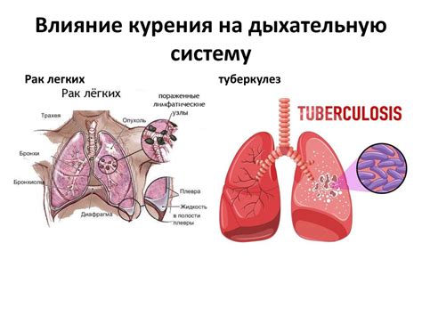 Вред курения - презентация онлайн