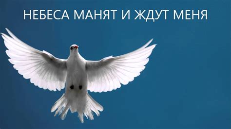 НЕБЕСА МАНЯТ И ЖДУТ МЕНЯ - YouTube