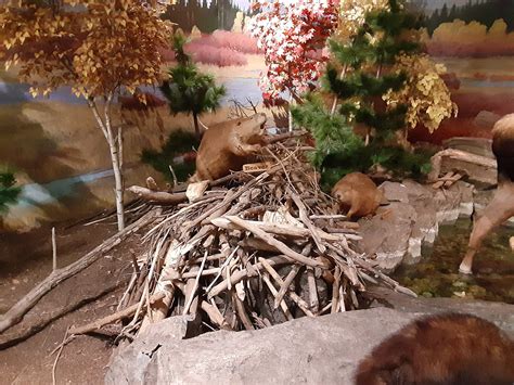 Hidden Gems Of Hartford And Tolland Counties | Greater Hartford, CT Patch