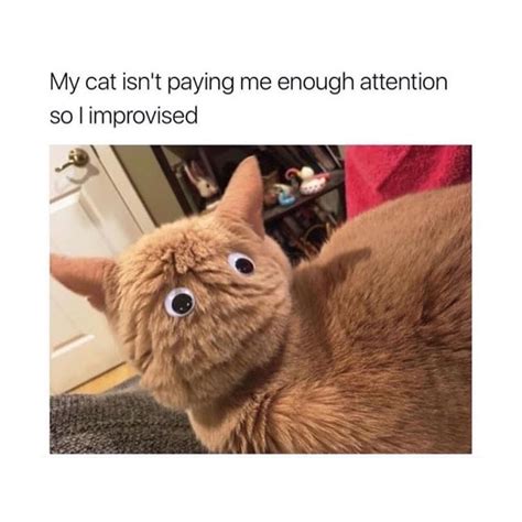 You Can't Ignore Me - Memebase - Funny Memes