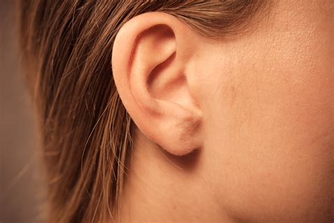 Qual Orelha Fala Mal - Ouvido - Orelha - externo, média e interna - Audição - InfoEscola