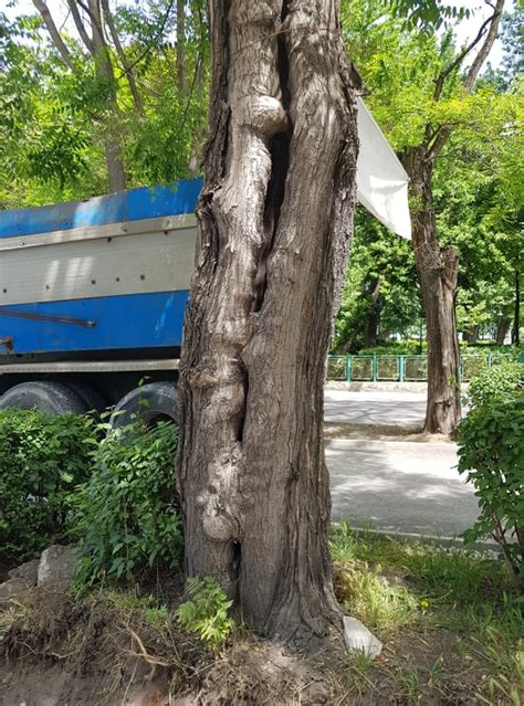 Община Бургас