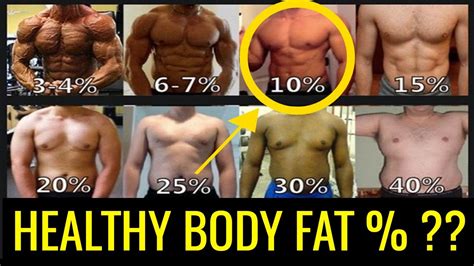 healthy body fat percentage  men charts ranges youtube