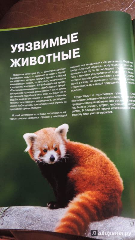 Книга: Красная книга. Животные мира - Скалдина, Слиж. Купить книгу ...
