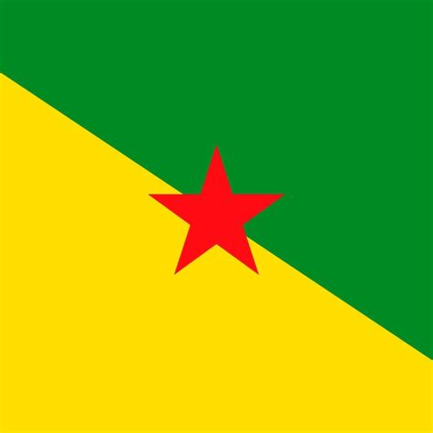 Premium Vector | French guiana flag official colors vector illustration