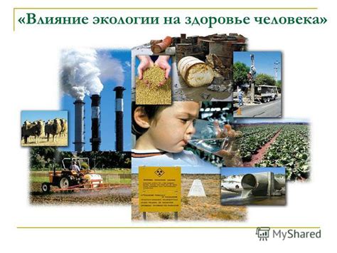 Презентация на тему: "«Влияние экологии на здоровье человека ...