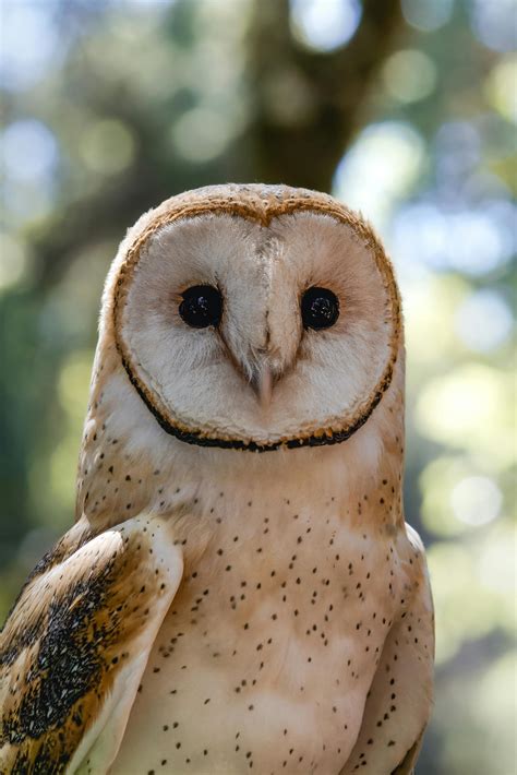 Large+Natural+Breasts+On+The+Beach Photos, Download The BEST Free Large