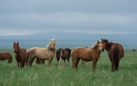 ФОТО: Монгол орны үзэсгэлэнт байгаль
