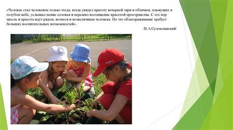 Знакомство детей с окружающим миром 4-5лет - презентация онлайн