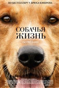 Собачья жизнь (2017) смотреть онлайн бесплатно | Гидонлайн
