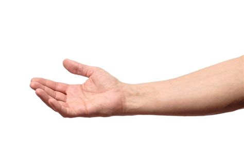Premium Photo | Man hand isolated. hold, grab or catch