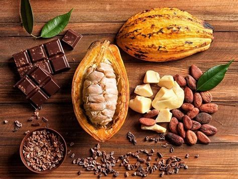 Peruvian cacao boosted positioning and shines in Europe | Noticias ...