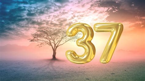 Angel Number 5050 – A Complete Guide to Angel Number 5050 Meaning and ...