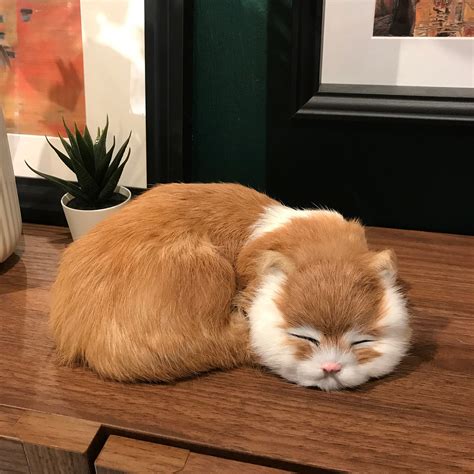 plush cat realistic 7