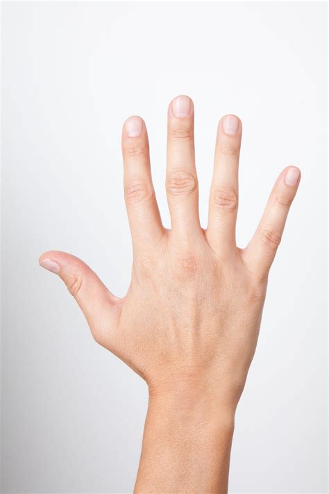 The meaning and symbolism of the word - «Fingers»