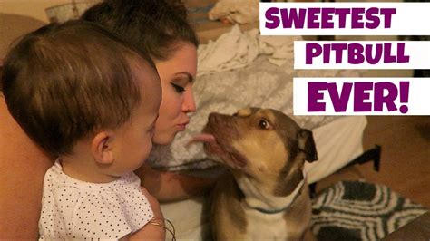 BABY MEETS PIT-BULL | VLOGMAS DEC. 2 2016 - YouTube