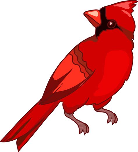 Cardinal Flying Clipart