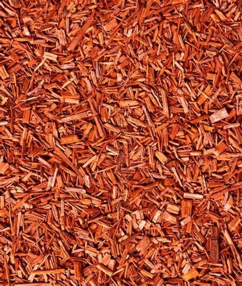 Sandalwood Essential Oil - AS BioSenses