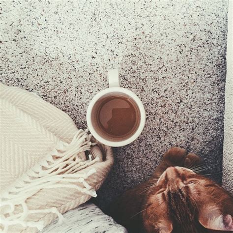 Instagram Blog
