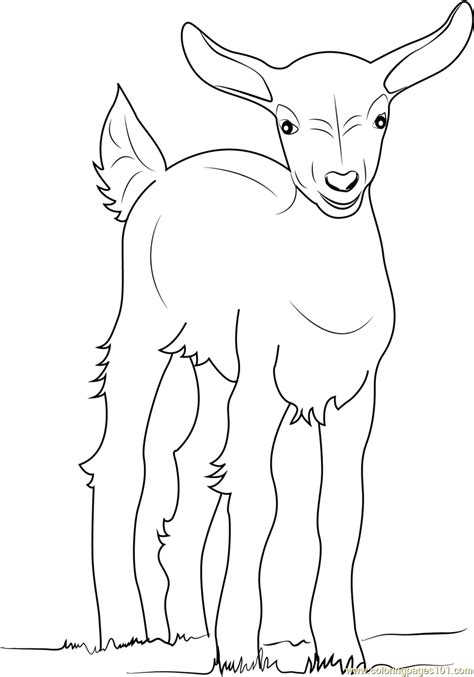Baby Goat Coloring Page for Kids - Free Goat Printable Coloring Pages ...