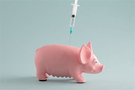 Epigraph algorithm enables swine flu vaccine research