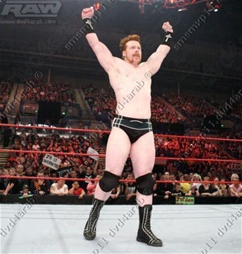 Sheamus ... - WWE Raw Photo (13367976) - Fanpop