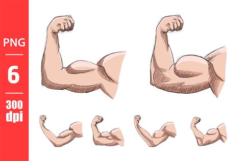 Muscle Arm Drawing Clipart Graphic by Emil Timplaru Store · Creative ...