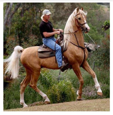 Is Athea Palomino The Next Big Thing? You Won't Believe This! Image 11