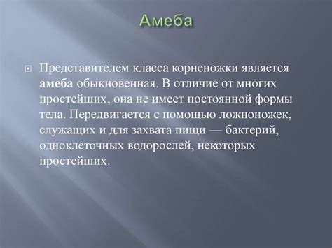 Царство животные - презентация онлайн