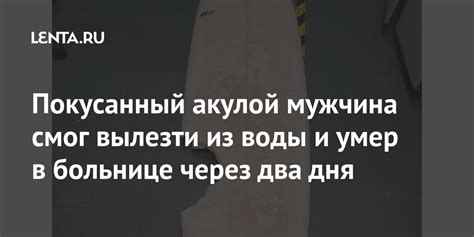 Покусанный акулой мужчина смог вылезти из воды и умер в больнице через ...