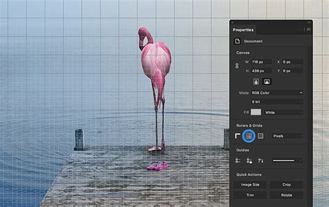 adobe photoshop cc