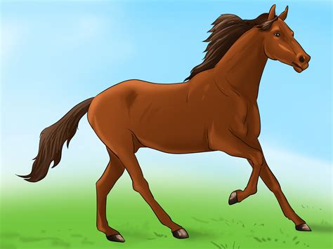 Horses - Mind Map
