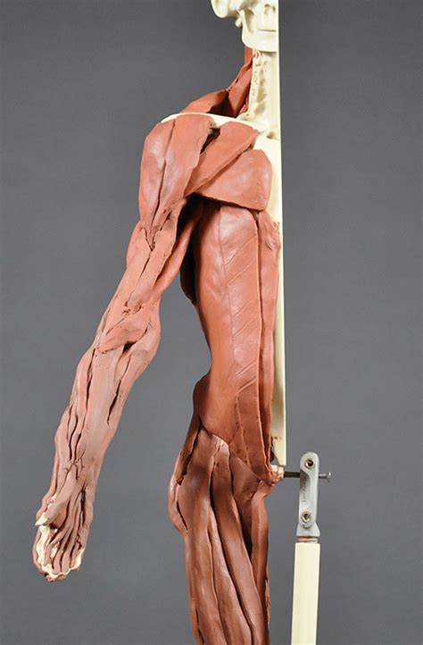 Final Maniken | Flickr