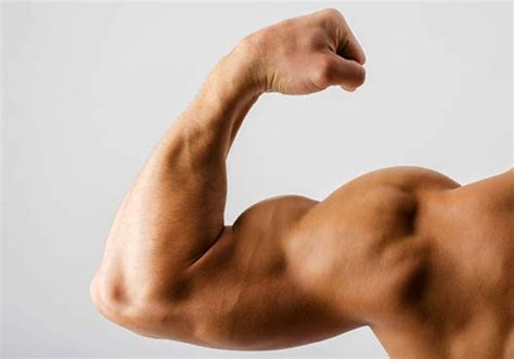 Bicep Workouts You Can Do at Home Without Weights - Lafitness Reviews