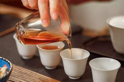 Complete Guide To Yingde Black Tea & Yinghong No.9 Tea - Lastea