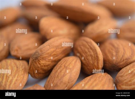 almonds almond nut isolatedfull depth  field close  stock