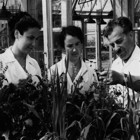 (PDF) Mikhail Khristoforovich Chailakhyan: The fate of the scientist ...