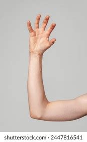 elevated bare human arm bent elbow stock photo  shutterstock