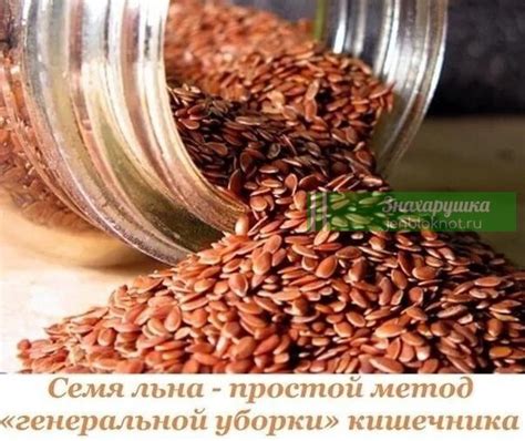Семя льна — простой метод «генеральной уборки» кишечника | Знахарушка ...