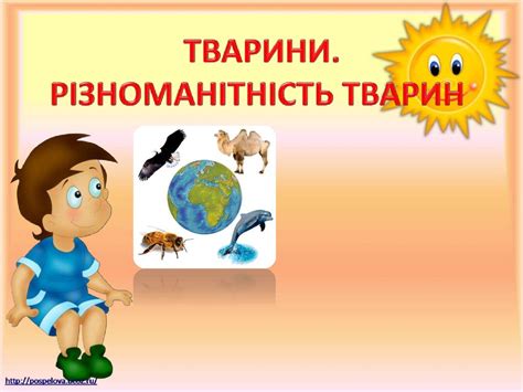 Тварини. Різноманітність тварин - online presentation