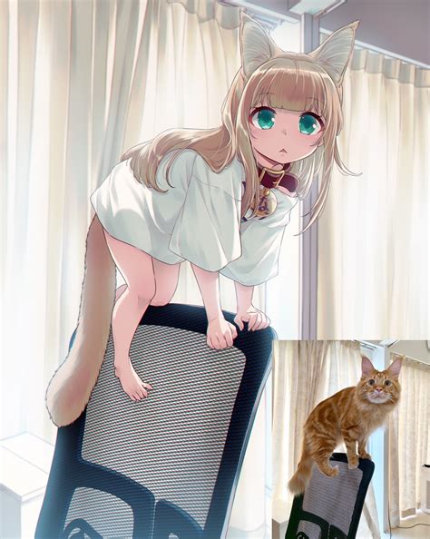 Anime Cat Girlporn